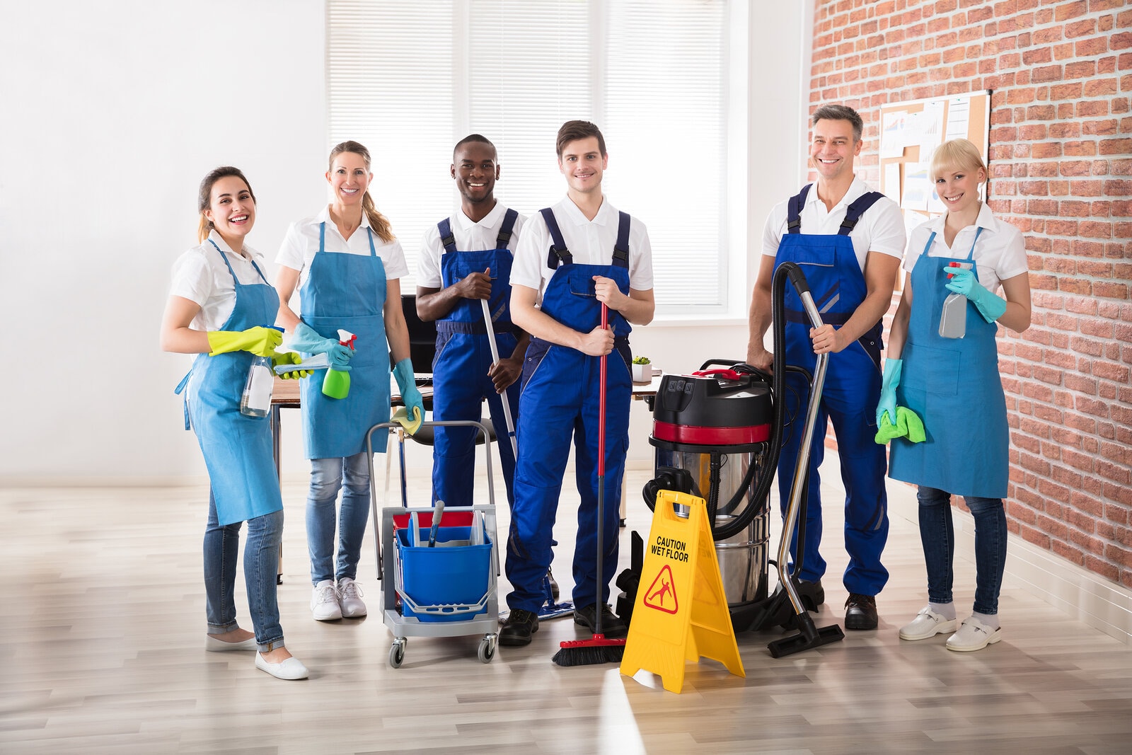 professional cleaners in toronto